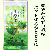 静岡茶 緑の風(旧いろり)100g 袋入り 普通蒸し煎茶  お茶 普通級