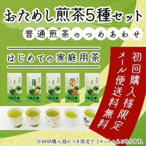 画像1: 静岡茶 「おためし煎茶5種セット」普通級煎茶の詰め合わせ  メール便 送料無料 代引不可 緑茶