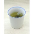 画像2: べにふうき緑茶 ティーバッグタイプ 3g×10包 約5日分 国内産 静岡県産 メチル化カテキン 10個買うごとに1個プレゼント (2)