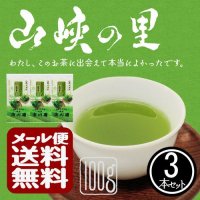 静岡茶 「山峡の里」100g 袋入り 3本セット メール便 送料無料 代引不可 上級 やや深蒸し煎茶 緑茶