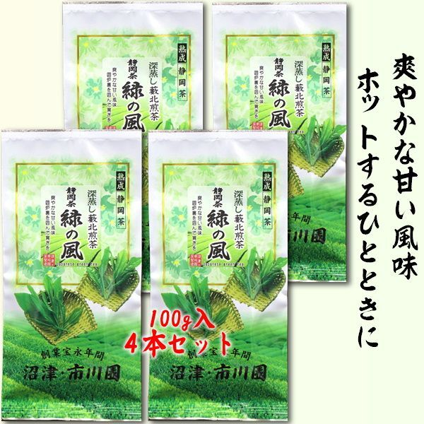 静岡茶  緑の風(旧いろり) 100g× 4袋セット メール便 送料無料 代引不可 普通蒸し煎茶  緑茶