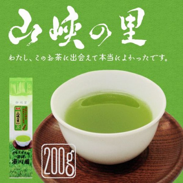 静岡 菊川茶 100g×3袋