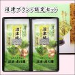 画像1: 御歳暮 静岡茶 ギフト 「沼津城 100g×2袋 平箱入」　上ランク 沼津ブランド (1)